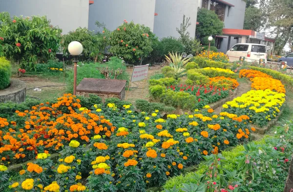 Día Soleado Pequeño Parque Con Vibrantes Flores Amarillas Naranjas Arbustos — Foto de Stock