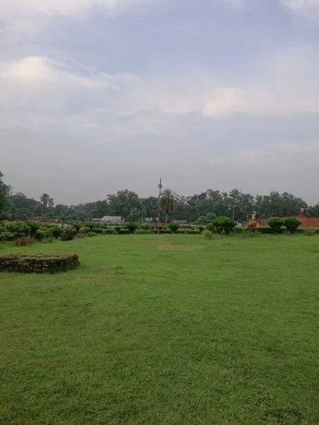 Sebuah Gambar Vertikal Dari Lapangan Rumput Hijau Cerah Yang Terpelihara — Stok Foto