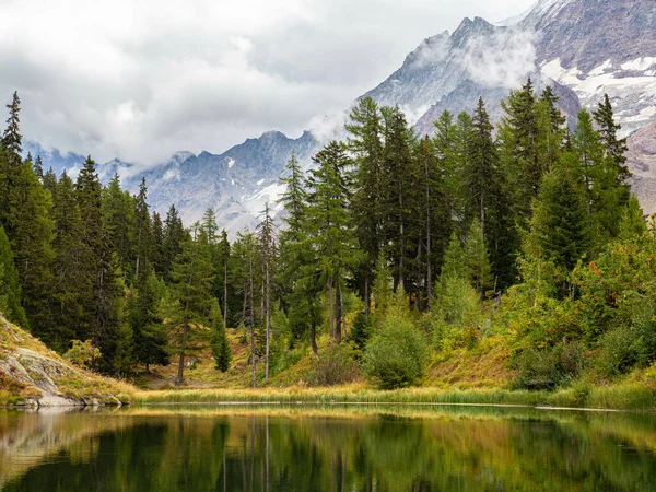 以阿尔卑斯山为背景的环绕湖畔的风景秀丽的山景 — 图库照片