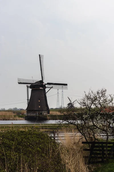 Vertikal Bild Väderkvarnar Kinderdijk Nederländerna — Stockfoto