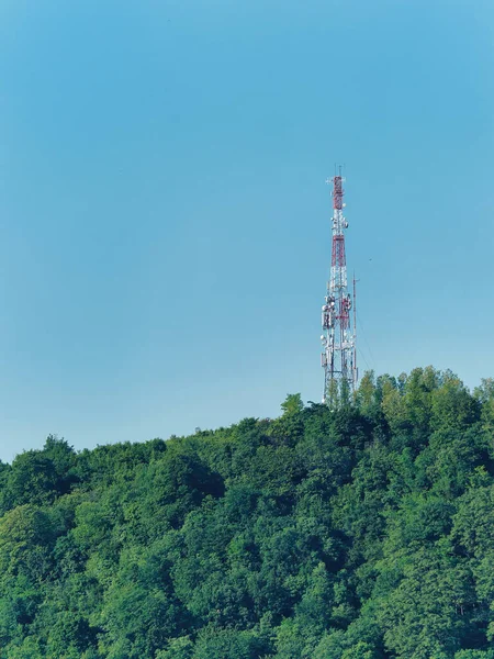 Een Mobiele Telefoon Toren Het Midden Van Een Groen Bos — Stockfoto