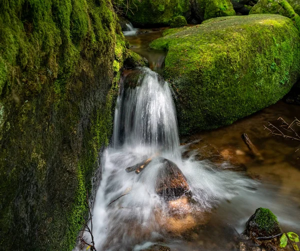 Krásný Výhled Gertelbach Malou Kaskádu Vodopádu Buhlertal Údolí Německo — Stock fotografie