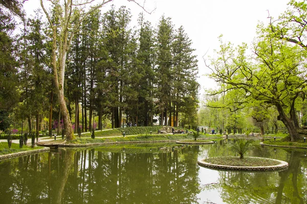 Útvonal Grúziai Zugdidi Parkban — Stock Fotó