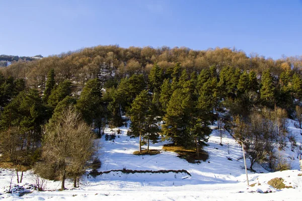 冬季阳光明媚的一天 佐治亚州古都里雪山的美丽风景 — 图库照片