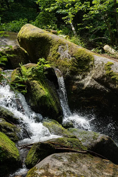 Vertical Shot Gertelbach Small Cascade Waterfall Buhlertal Valley Germany Stock Photo