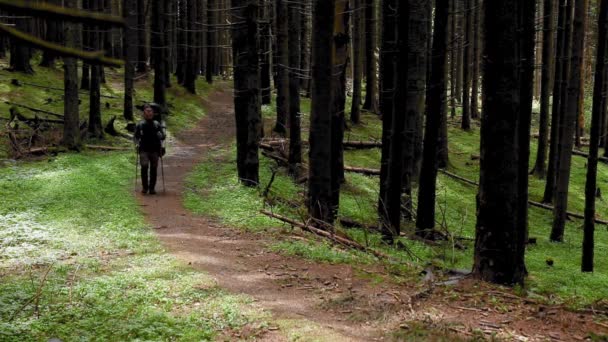 Zdjęcia Przystojnego Młodzieńca Trekking Górskim Lesie — Wideo stockowe