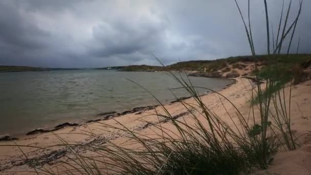 Beau Paysage Avec Une Rivière Lac — Video