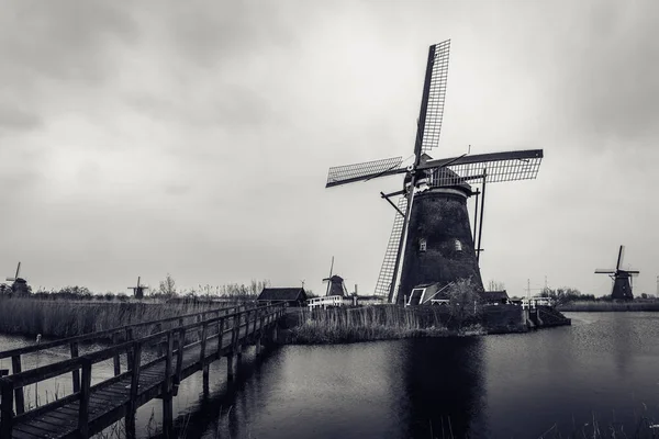 Szary Strzał Wiatraków Kinderdijk Holandia — Zdjęcie stockowe