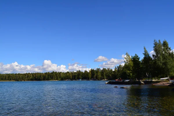 Ясное Спокойное Озеро Окруженное Лесом Солнечный День — стоковое фото
