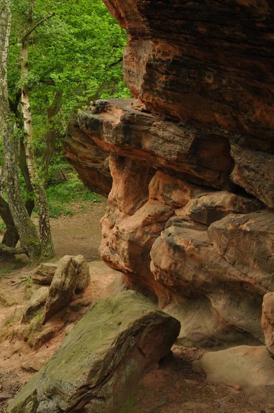 Egy Függőleges Felvétel Egy Barlang Belsejéről Buja Zöld Fákkal Háttérben — Stock Fotó