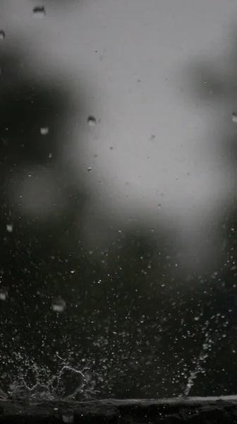 背景がぼやけて暗い日に森の中で地面に飛び散る雨滴の垂直背景 — ストック写真