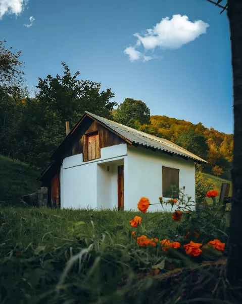 Eine Vertikale Aufnahme Eines Weißen Giebelgedeckten Hauses Mit Einem Grünen — Stockfoto