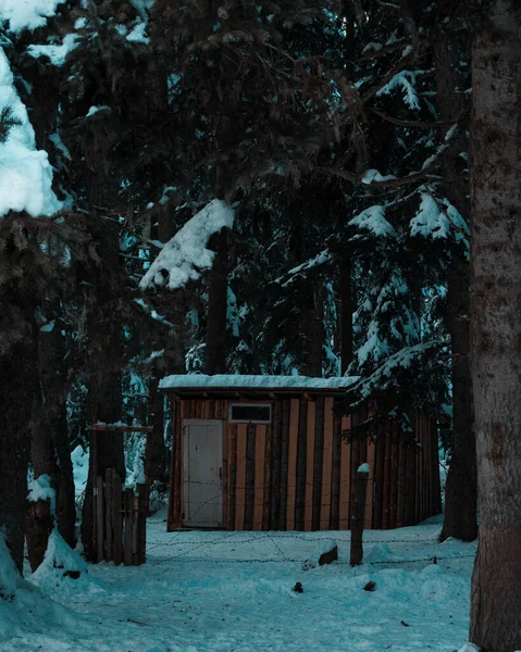 Ein Hölzernes Braunes Haus Inmitten Schmelzender Schneebedeckter Bäume — Stockfoto