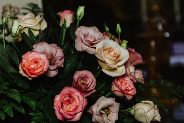 Las Rosas Diferentes Tonos Rosa Púrpura — Foto de Stock