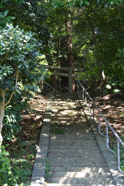 Plan Vertical Escalier Menant Une Porte Dans Une Zone Rurale — Photo