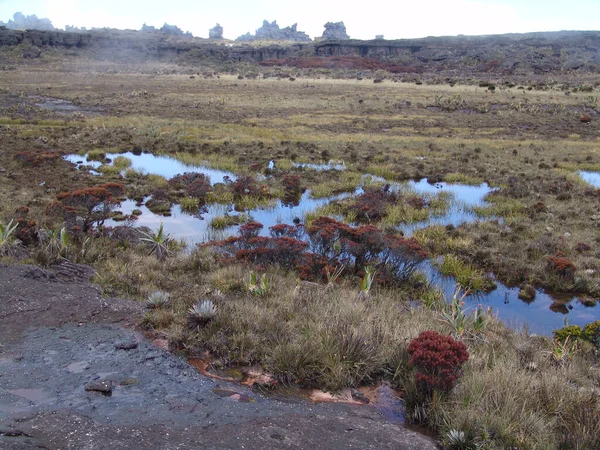 Een Landschap Nabij Berg Roraima Zuid Amerika — Stockfoto
