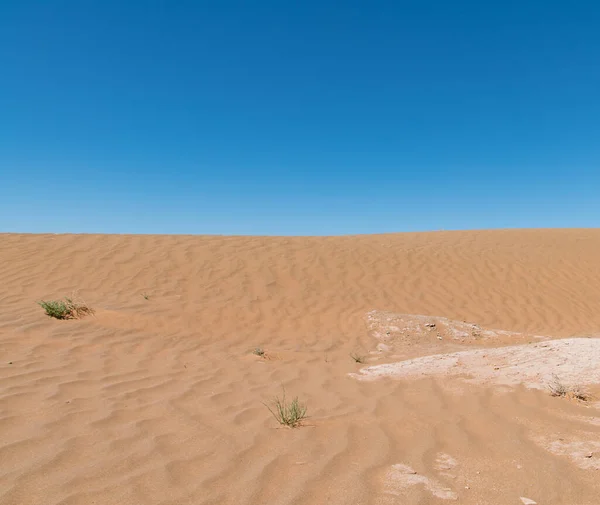Κυματιστή Άμμο Τοπία Της Ερήμου Σαχάρα Στο Μαρόκο — Φωτογραφία Αρχείου