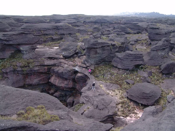 Primer Plano Del Monte Roraima América Del Sur —  Fotos de Stock