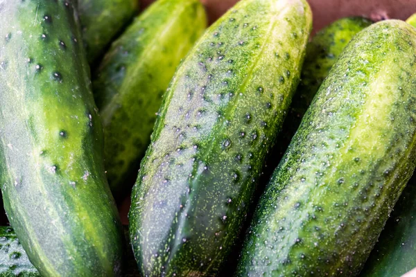 Gros Plan Concombres Verts Frais Dans Une Boîte Bois — Photo