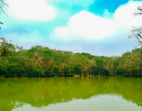 Belo Lago Verde Refletindo Árvores Exuberantes Nuvens Brancas Fofas Dia — Fotografia de Stock