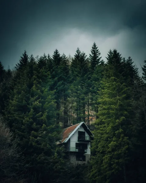 A vertical shot of a saltbox-roofed house with dense trees