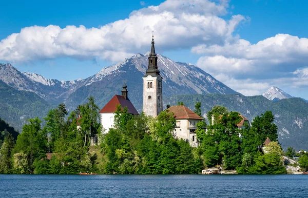 Festői Kilátás Nyílik Gyönyörű Mala Osojnica Bled Szlovénia Egy Napsütéses — Stock Fotó