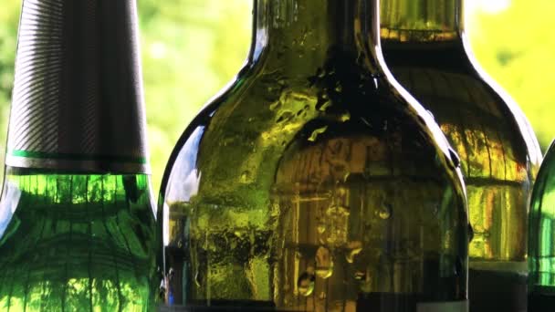 Botellas Vacías Con Copa Vino Mesa Aire Libre — Vídeos de Stock