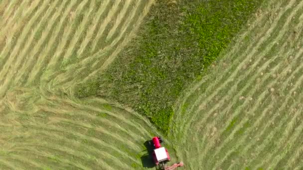 Luftaufnahme Des Feldes Der Landwirtschaftlichen Felder — Stockvideo