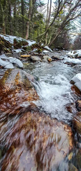 Een Verticaal Schot Van Rivier Stroom Beweging Gevuld Met Veel — Stockfoto