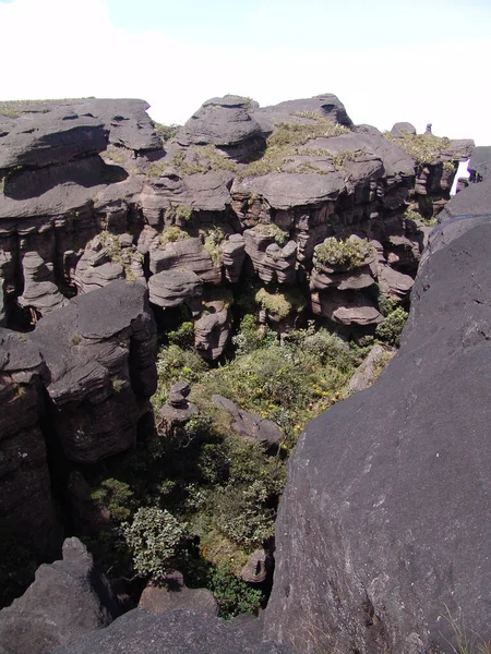 Vista Vertical Del Monte Roraima Sudamérica —  Fotos de Stock