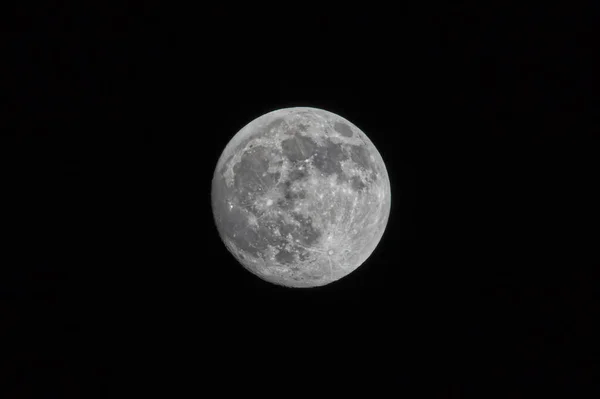 밤하늘에 보름달 — 스톡 사진