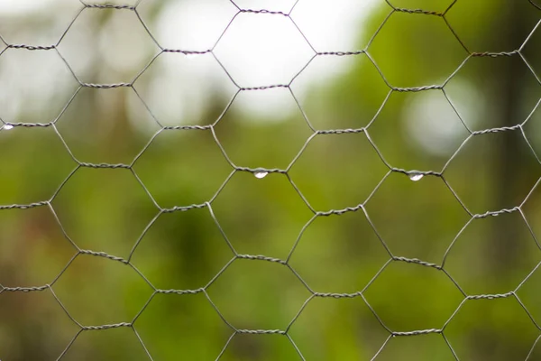 Een Close Shot Van Regendruppels Een Metalen Hek — Stockfoto