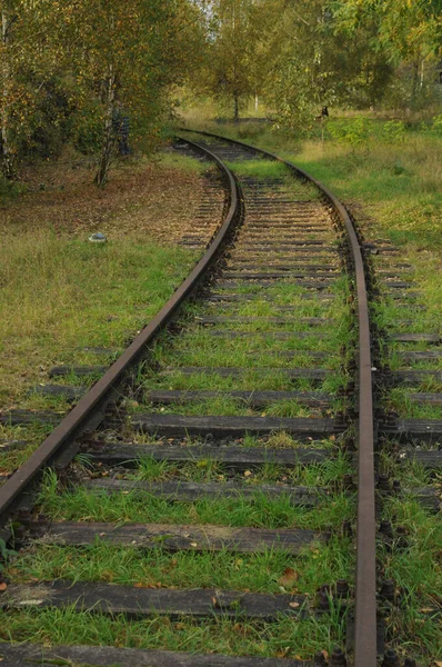 森の中の電車の木道 — ストック写真