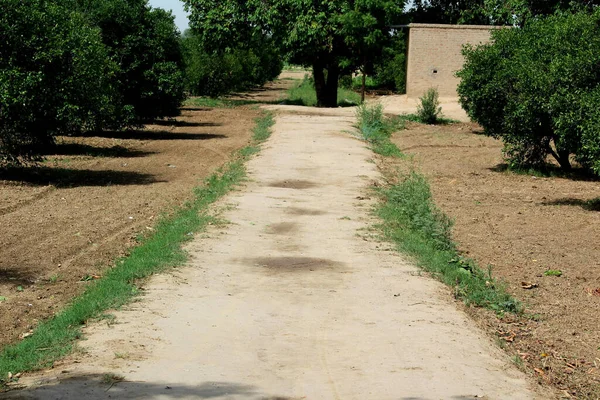 Köy Bölgesinde Bir Kum Yolu — Stok fotoğraf
