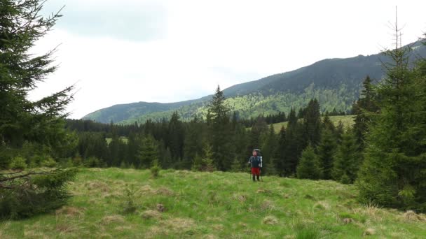 Zdjęcia Przystojnego Młodzieńca Trekking Górskim Lesie — Wideo stockowe