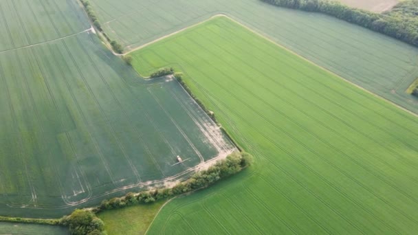 Vista Aérea Los Campos Bosques Por Mañana — Vídeos de Stock