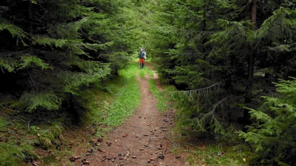 Zdjęcia Przystojnego Młodzieńca Trekking Górskim Lesie — Wideo stockowe