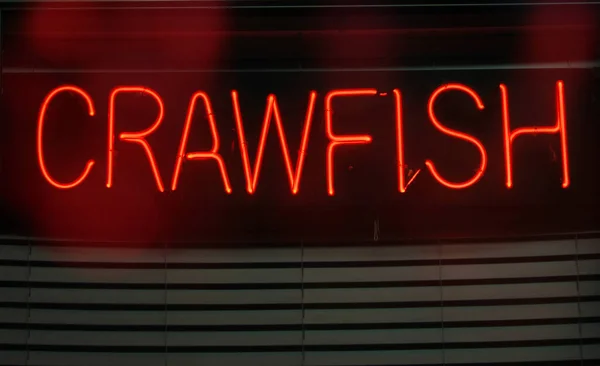 Ein Leuchtend Neonrot Beleuchtetes Crawfish Schild — Stockfoto
