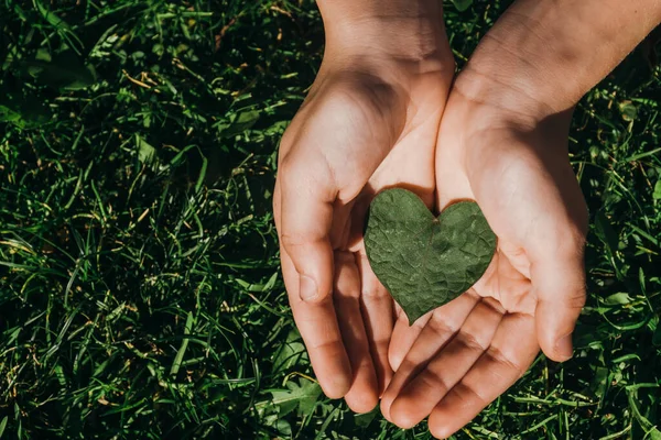 Pojke Som Håller Ett Grönt Hjärtformat Löv Grön Bakgrund Ekologi — Stockfoto