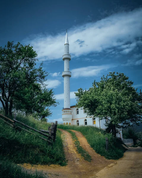 Plan Vertical Une Mosquée Blanche Avec Grand Minaret Milieu Rural — Photo