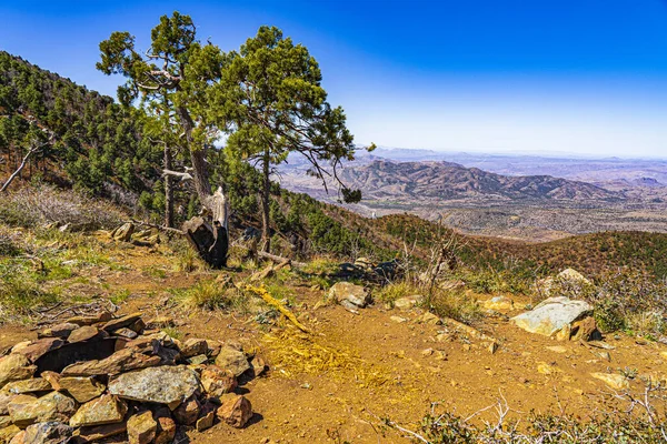 アリゾナ州のソノラ砂漠の一部を見下ろす山のキャンプ場の閉鎖ショット — ストック写真