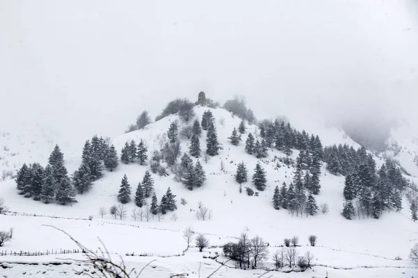 Uma Vista Aérea Uma Floresta Com Pinheiros Inverno Montanhas Nevadas — Fotografia de Stock