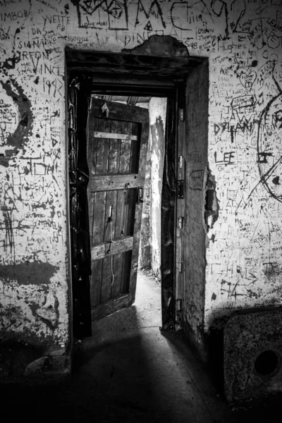 Duvardaki Eski Ahşap Kapının Dikey Görüntüsü Üzerinde Gri Tonda Yazılar — Stok fotoğraf
