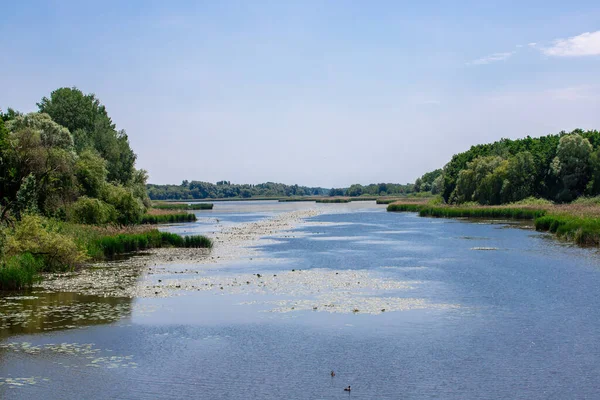 Gyönyörű Kép Balatonról Erdők Mentén Magyarországon — Stock Fotó