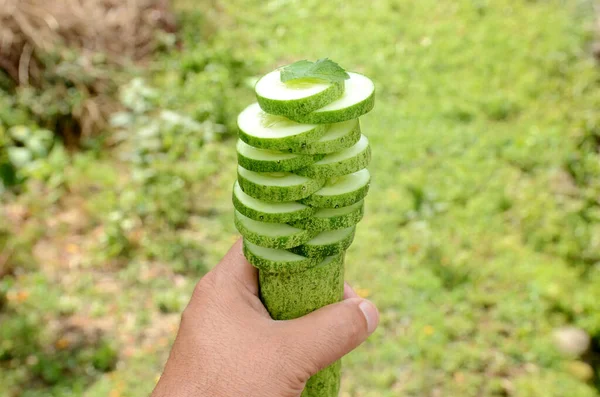 Een Hand Holding Gesneden Rijpe Groene Komkommer Met Munt — Stockfoto