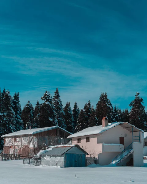 하늘을 배경으로 눈덮인 전나무 집들의 아름다운 — 스톡 사진