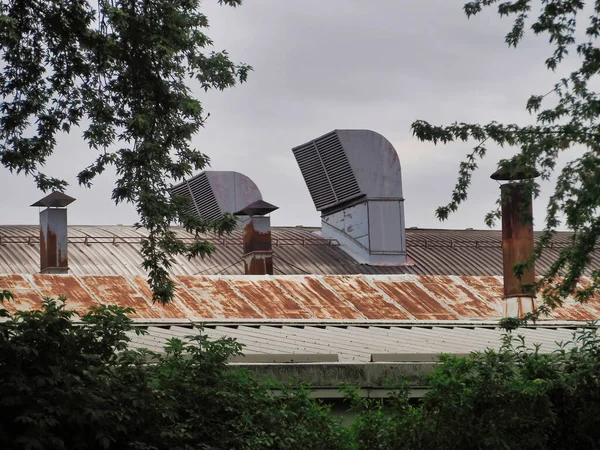 Flera Ventilationsrör Ett Gammalt Rostigt Tak Med Grön Vegetation Förgrunden — Stockfoto