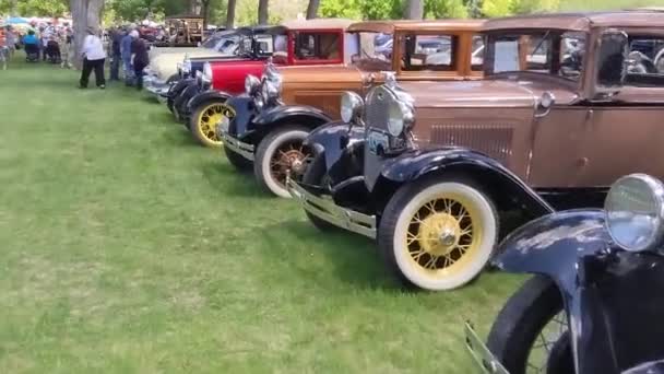 Alter Oldtimer Mit Rotem Und Grünem Gras — Stockvideo