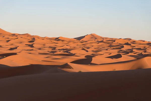 Scenic View Sandy Dunes Sahara Desert Morocco — Stock Photo, Image