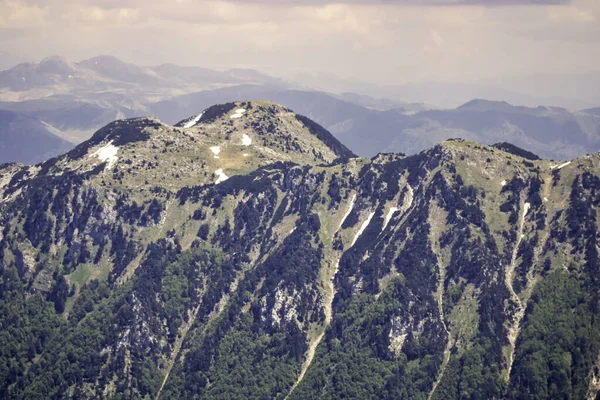 緑に覆われた山の斜面 — ストック写真